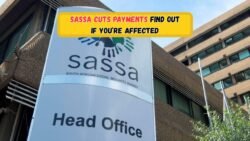 September 2025 SASSA Grant Suspensions: Discover Who Was Affected and the Reasons Behind It