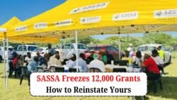 SASSA Urges Swift Action as Thousands of Grants Face Suspension
